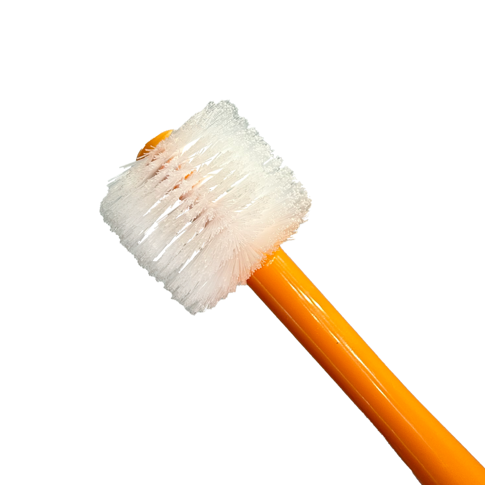 Adult Toothbrush