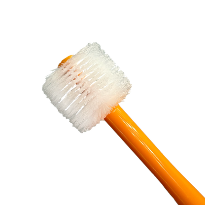 Adult Toothbrush